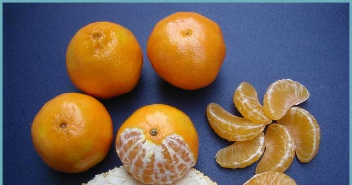 Клементин (фрукт) - полезные свойства этого сорта мандарин Клементин описание