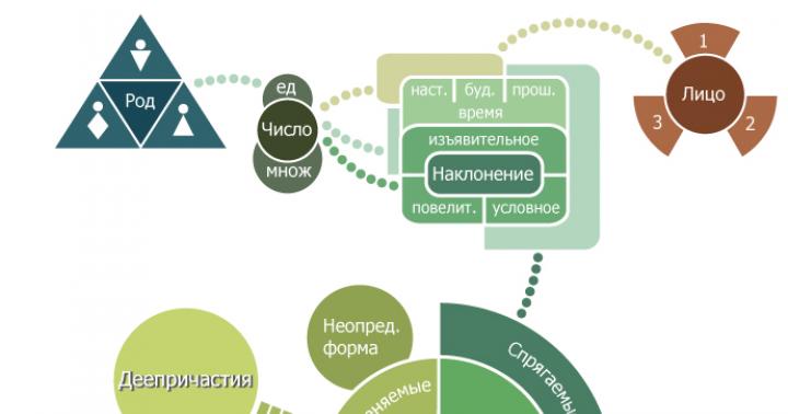 What does the type of verbs mean?  What is the aspect of a verb?  What types of verbs are there?  History of the verb aspect category