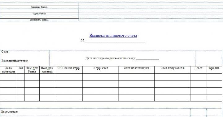 Primary accounting documentation at the enterprise: types and basic concepts The procedure for obtaining an account statement