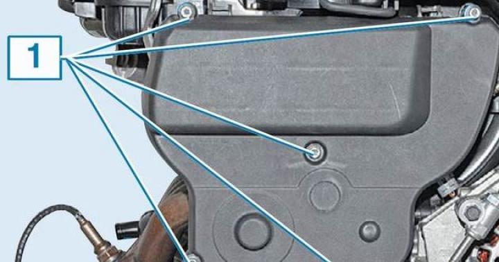 The process of replacing the timing belt at the fret grant