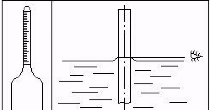 Determination of density with a hydrometer